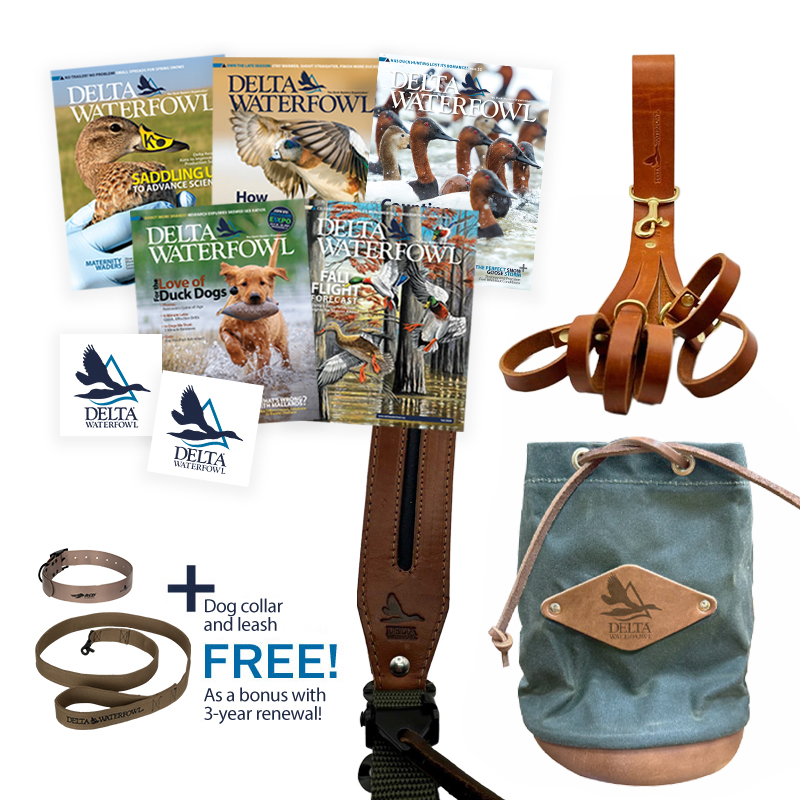 President's Circle Membership Gifts - 5 magazines, 2 decals, dog collar and leash for 3 year renewal plus other gifts