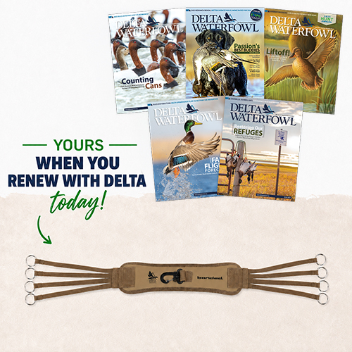 Free Banded Duck Strap when you Renew Today
