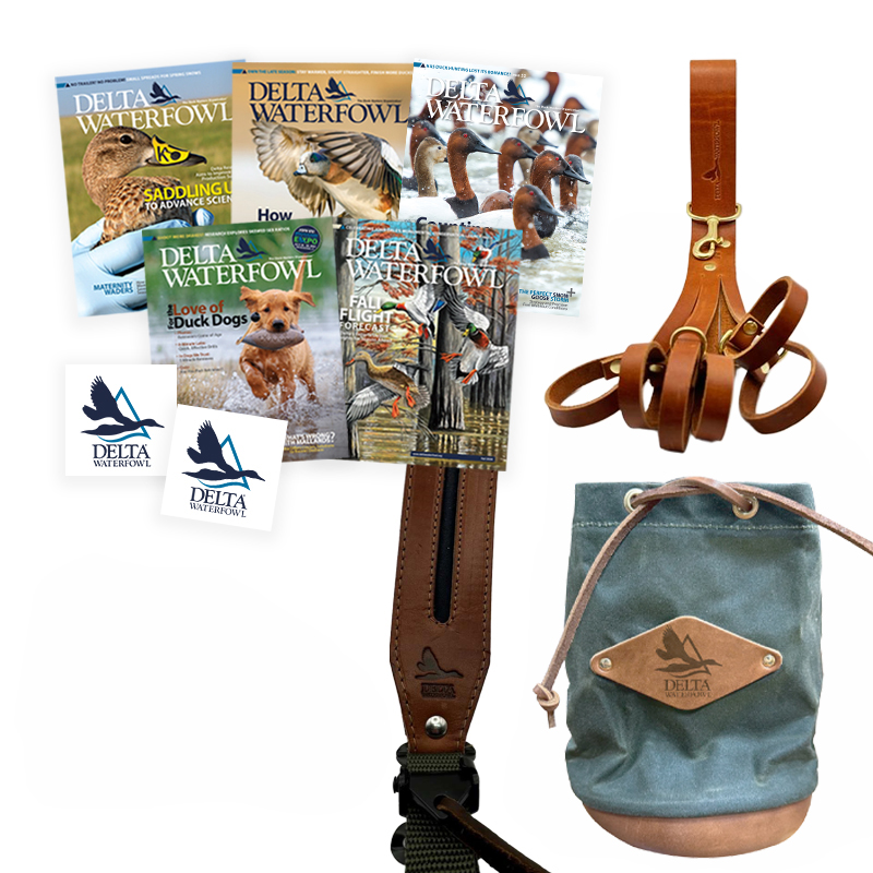 President's Circle Membership Gifts - 5 magazines, 2 decals, plus other gifts