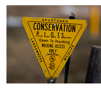 PLOTS sign