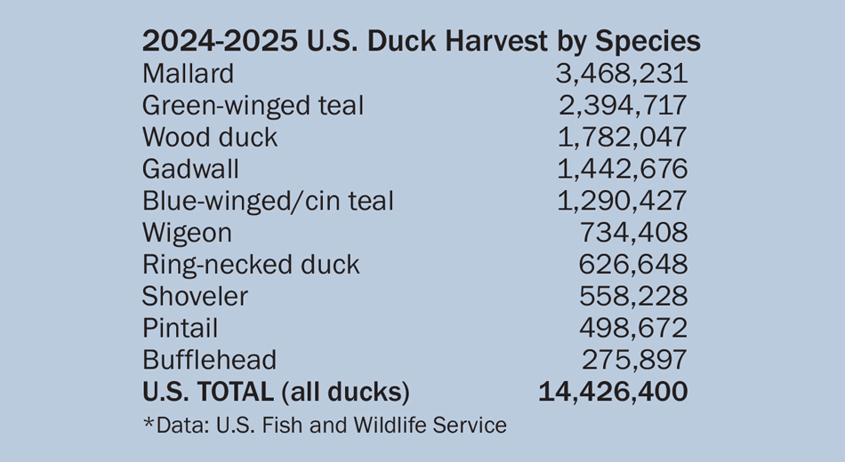 2024-2025 US Duck Harvest Species Chart