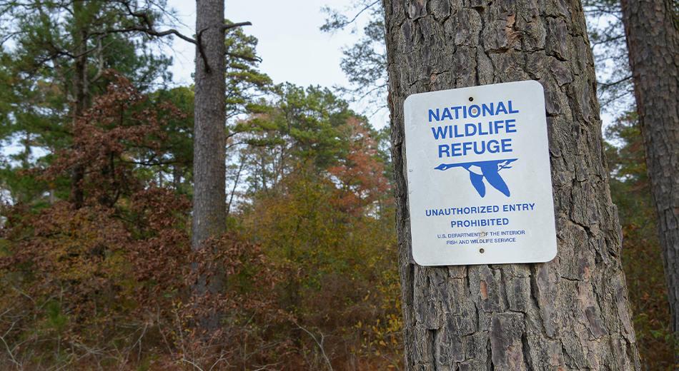 refuge sign on tree