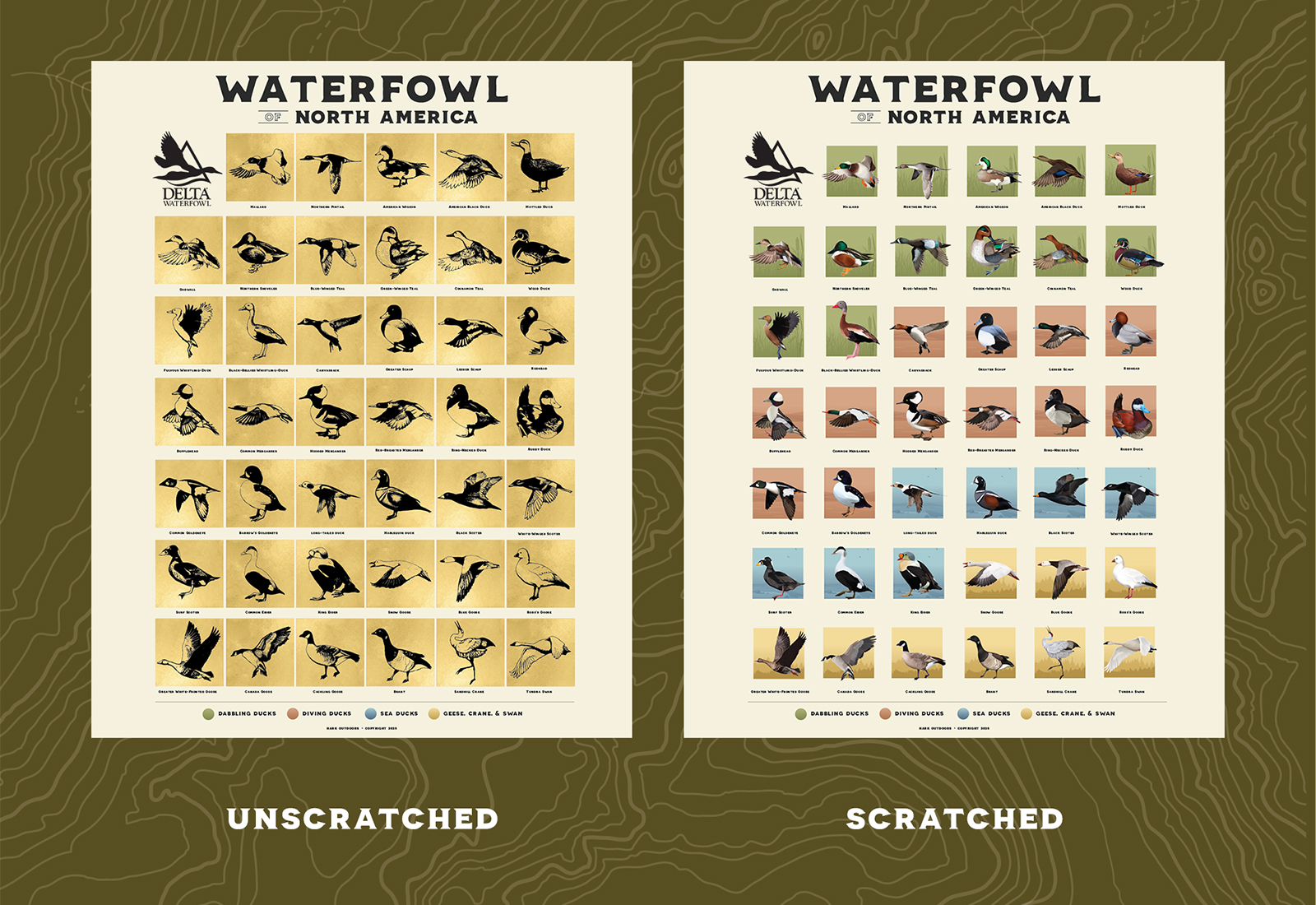 scratch off posters